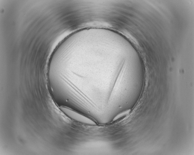 X0000087391248200705111753