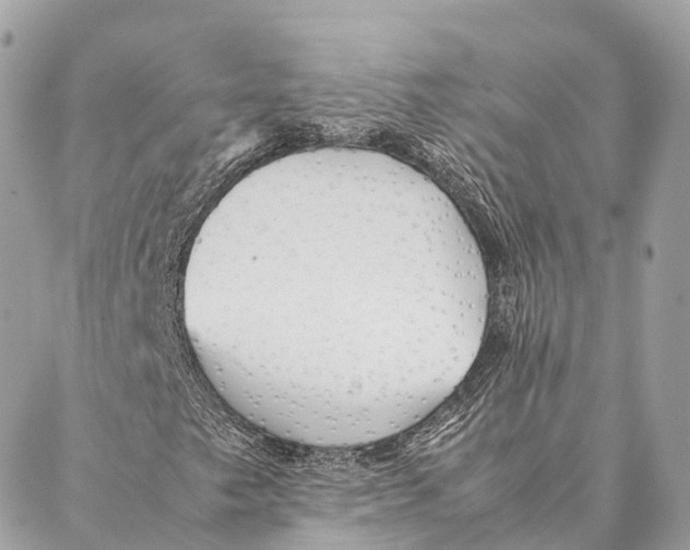 X0000087391249200705111752