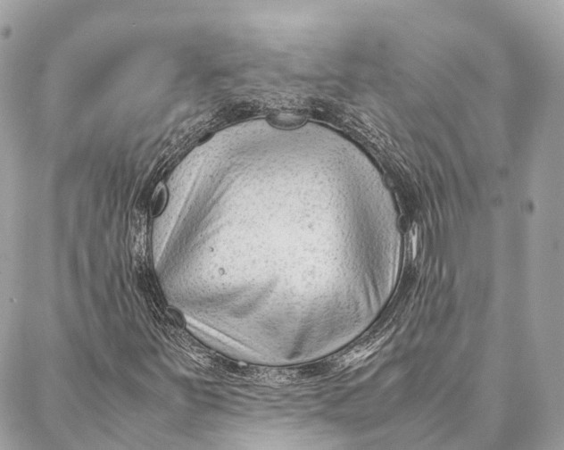 X0000087391251200705111752