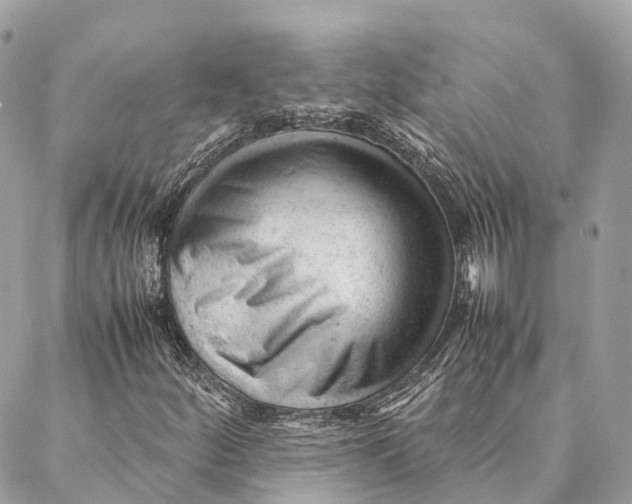 X0000087391252200705111752