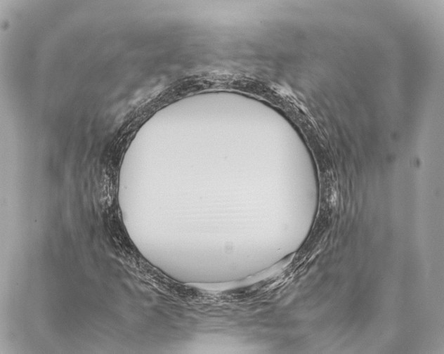 X0000087391253200705111752