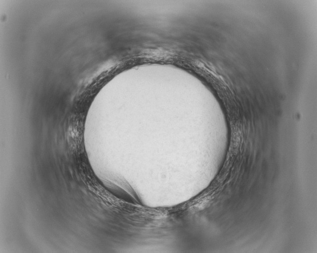 X0000087391254200705111752