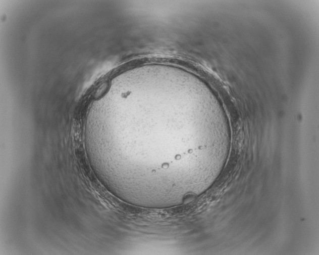 X0000087391255200705111752