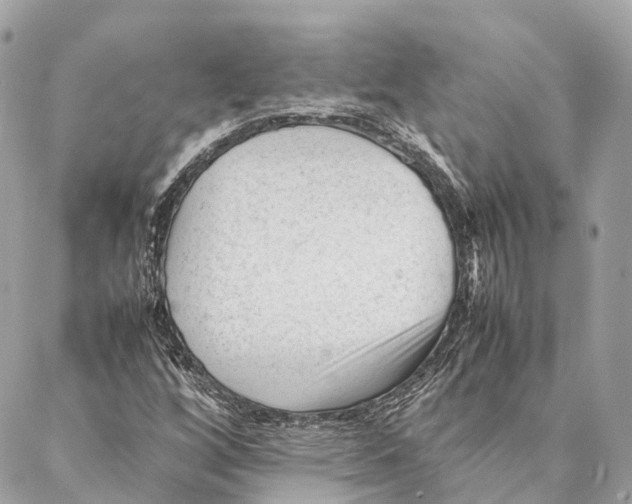 X0000087391256200705111752