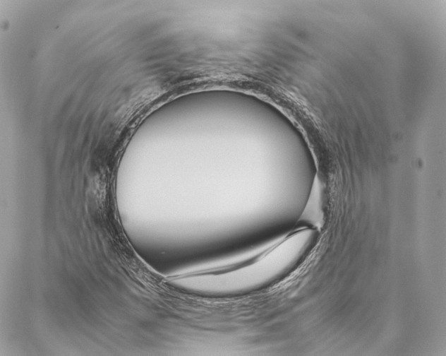 X0000087391257200705111752