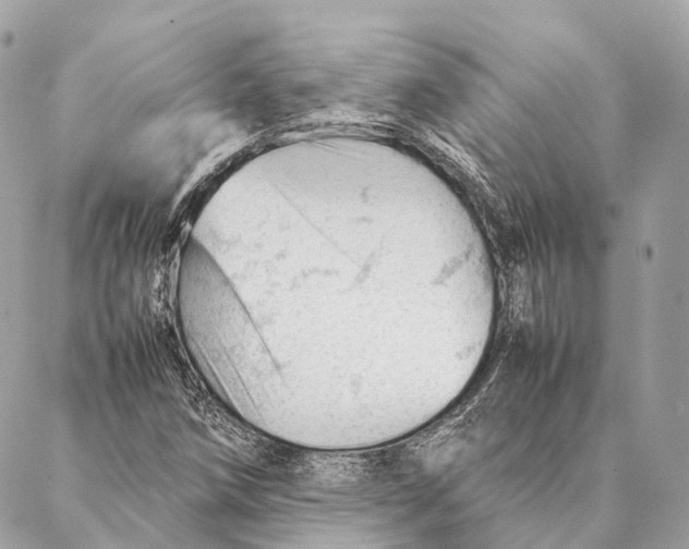 X0000087391258200705111752