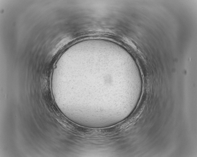 X0000087391259200705111752