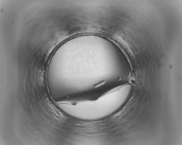 X0000087391260200705111752