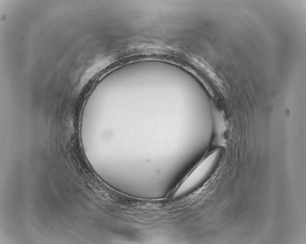 X0000087391261200705111752