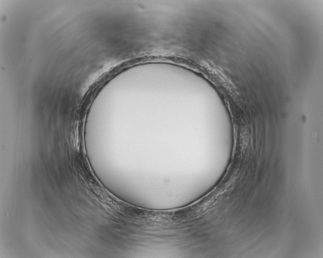 X0000087391262200705111752