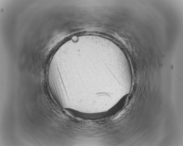 X0000087391263200705111752