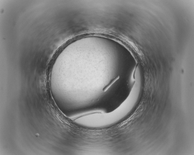 X0000087391264200705111752