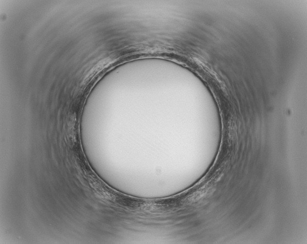 X0000087391265200705111752