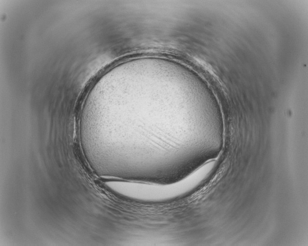 X0000087391267200705111751