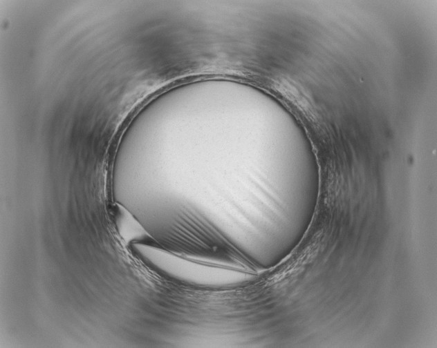 X0000087391268200705111751