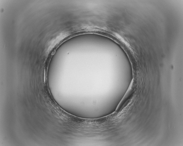 X0000087391269200705111751