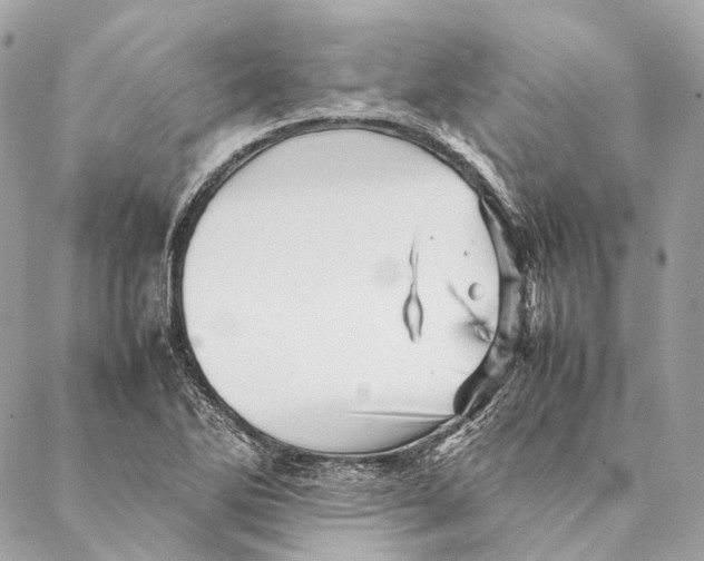 X0000087391270200705111751