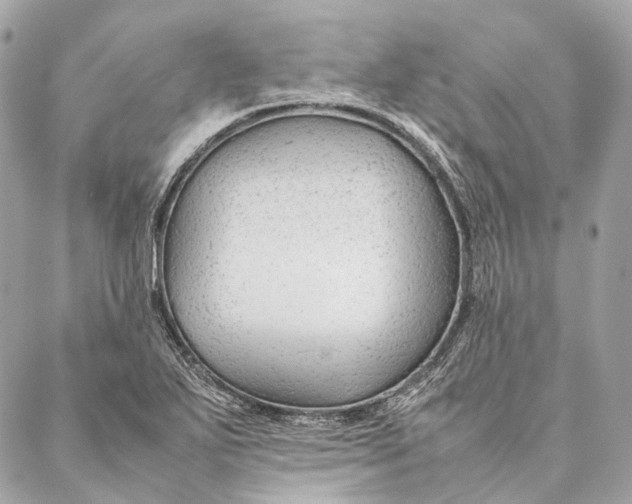 X0000087391271200705111751