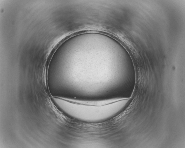 X0000087391272200705111751