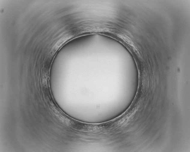 X0000087391273200705111751