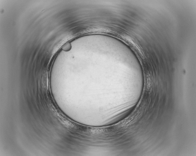 X0000087391274200705111751