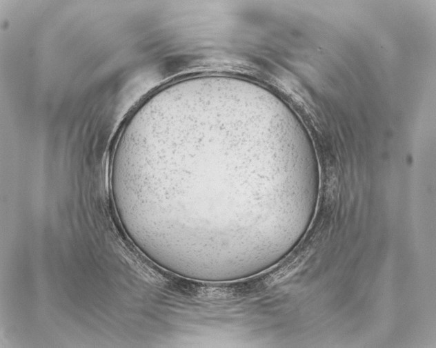 X0000087391275200705111751