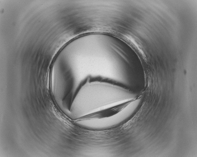 X0000087391276200705111751