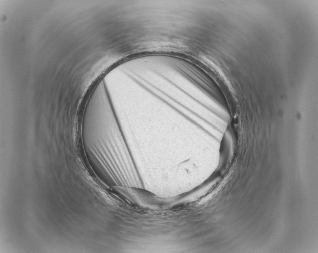 X0000087391277200705111751