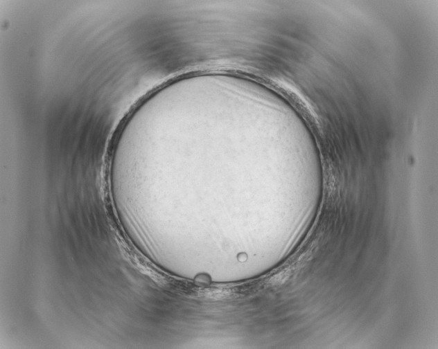 X0000087391278200705111751