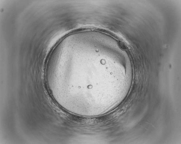 X0000087391279200705111751