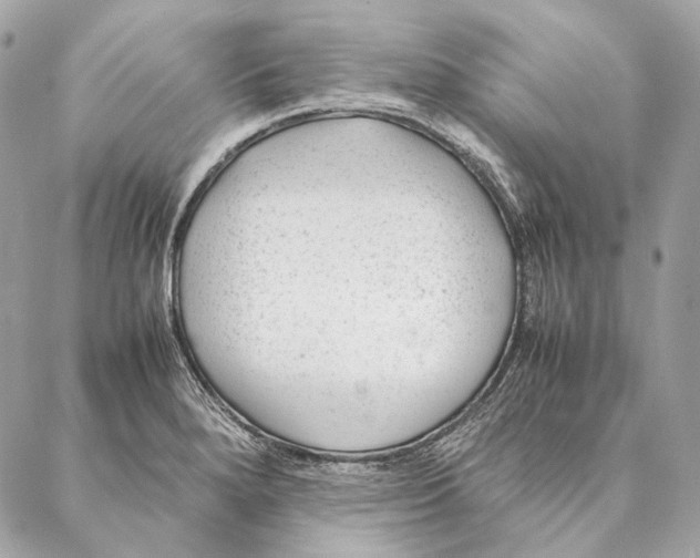 X0000087391280200705111751