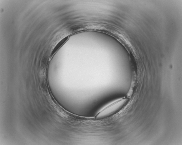 X0000087391281200705111751