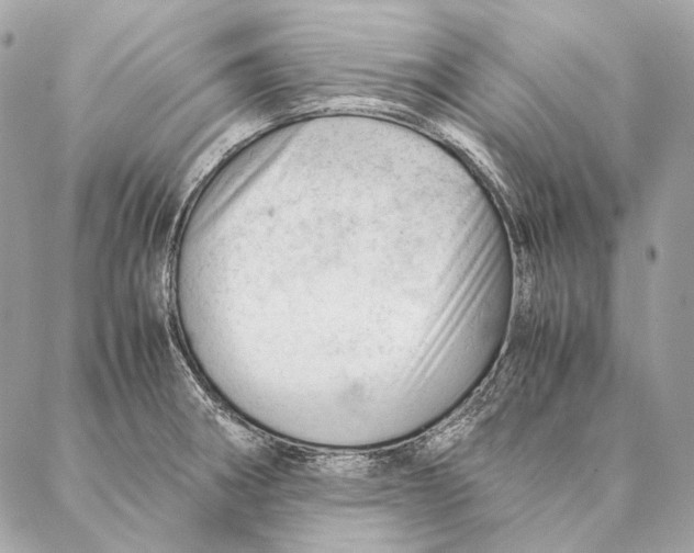 X0000087391282200705111751