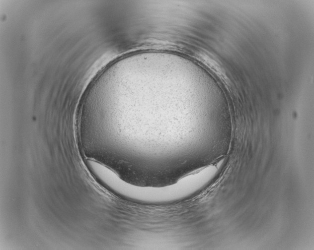 X0000087391283200705111751