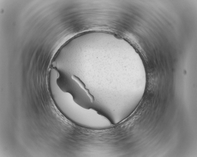 X0000087391284200705111751