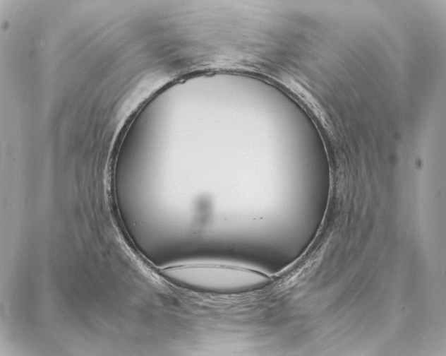 X0000087391285200705111751