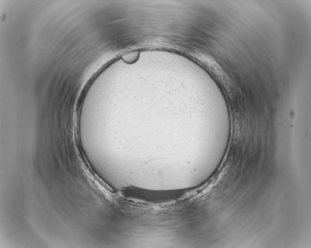 X0000087391286200705111751