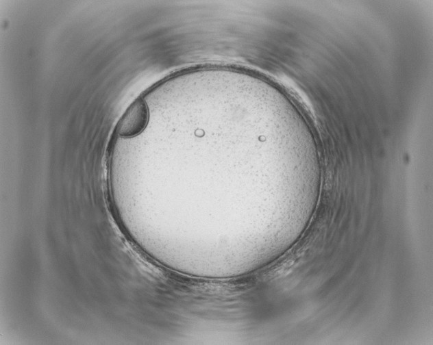 X0000087391287200705111751