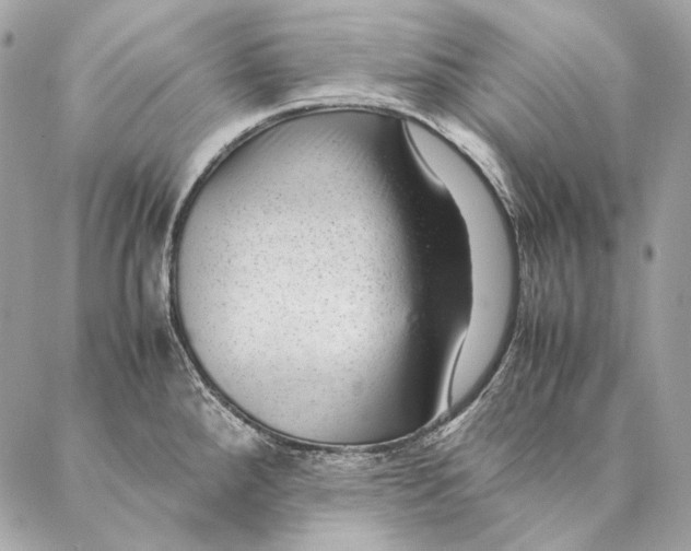 X0000087391288200705111751