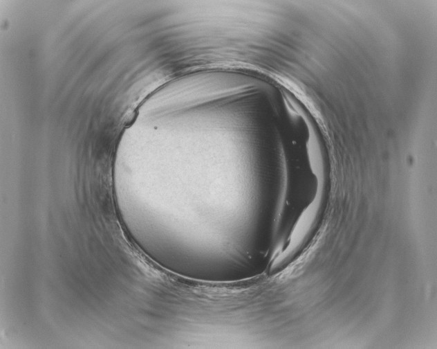 X0000087391289200705111751