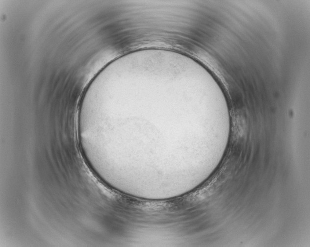 X0000087391290200705111751