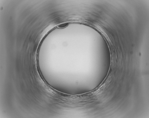 X0000087391291200705111751