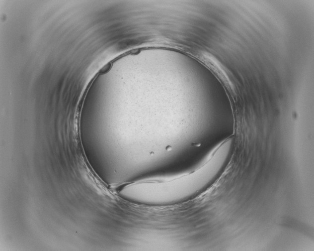 X0000087391292200705111751