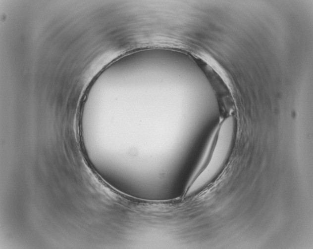 X0000087391293200705111751