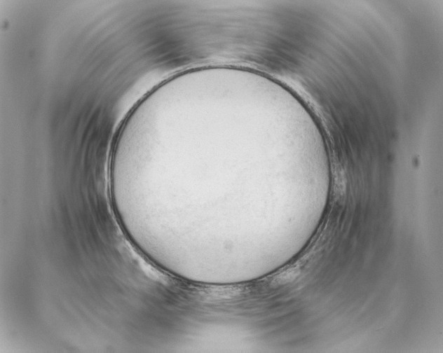 X0000087391294200705111751