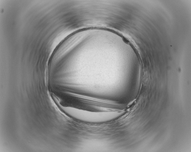 X0000087391295200705111751