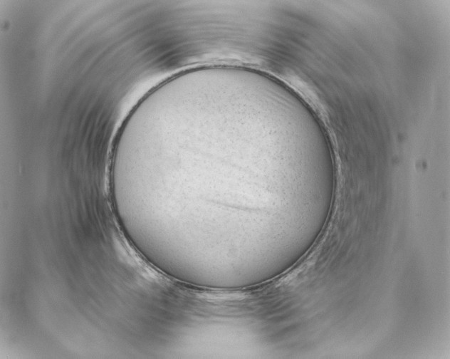 X0000087391296200705111751