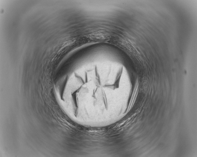 X0000087391297200705111750