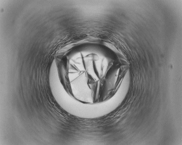 X0000087391298200705111750