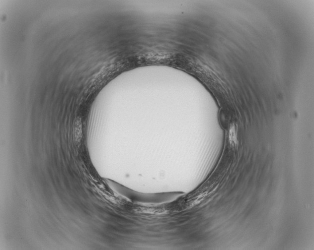 X0000087391299200705111750